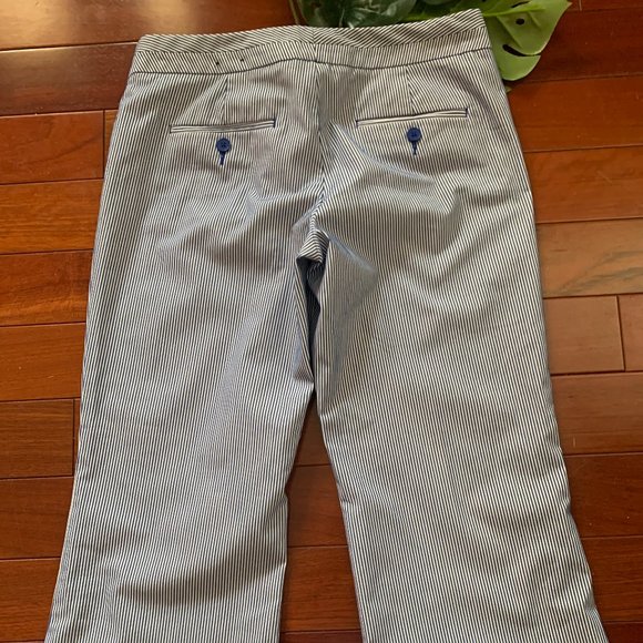 Express Design Studio Ankle Pants - Picture 5 of 6